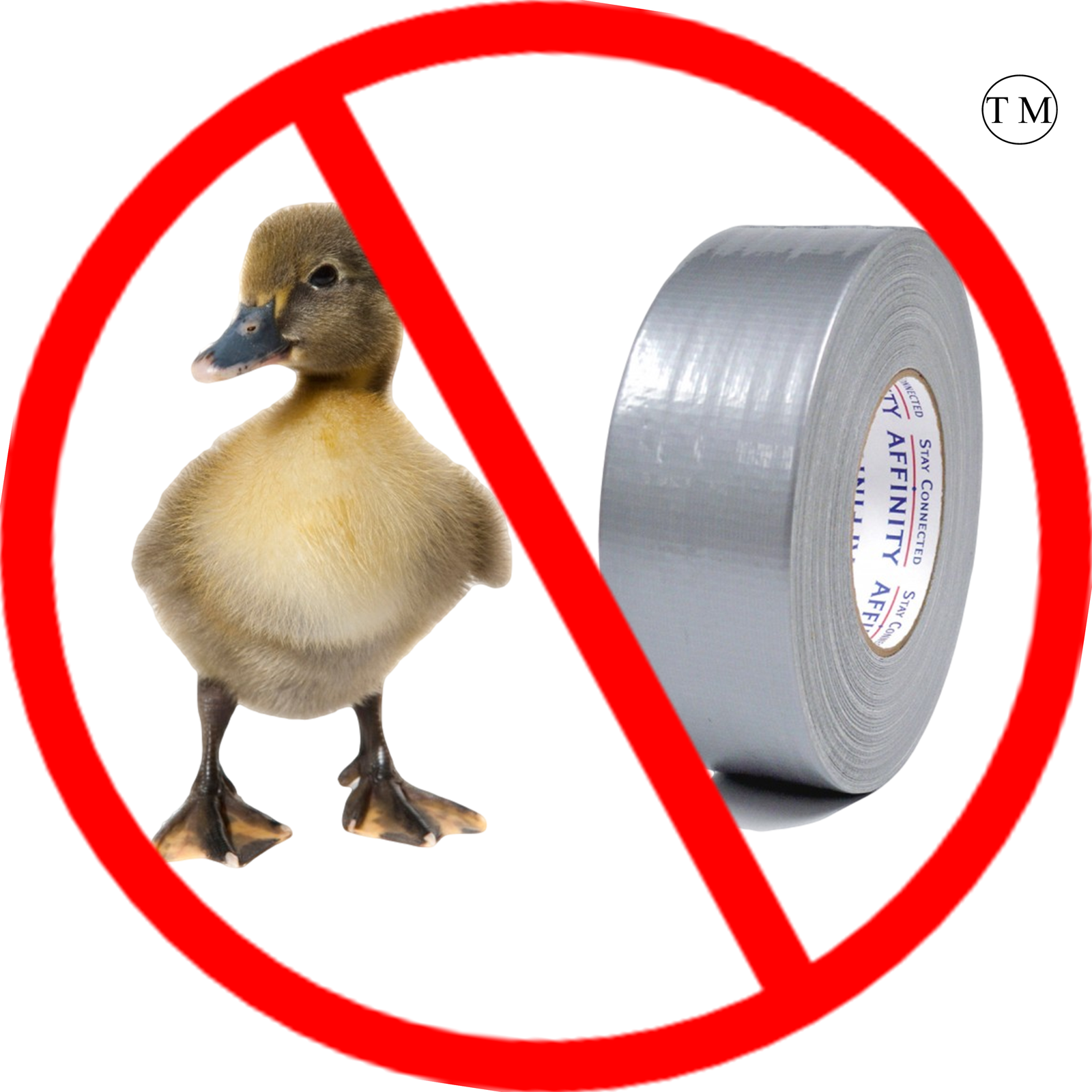 Chattanooga TN - Power Window Repair - No Duck (Duct) Tape